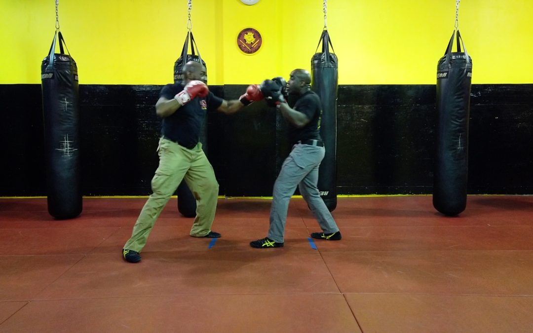 Training with Equipment Pads and Gloves